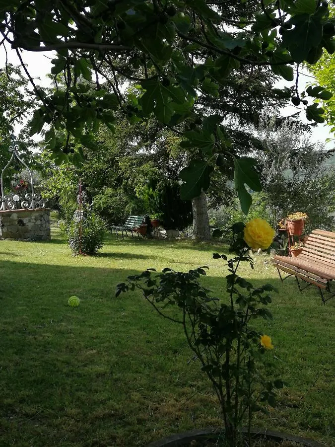 Casa vacanze Villa La Giuncaia Pieve Santo Stefano Italia